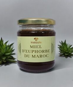 Pack 2 Miels du Maroc - 250g de Miel de Jujubier - 250g de Miel de Daghmous – Image 4
